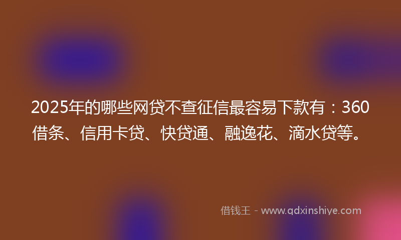 2025年的哪些网贷不查征信最容易下款有：360借条、信用卡贷、快贷通、融逸花、滴水贷等。