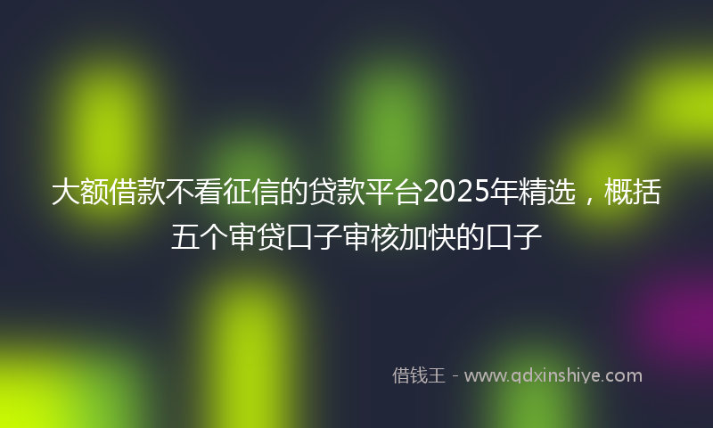 大额借款不看征信的贷款平台2025年精选，概括五个审贷口子审核加快的口子
