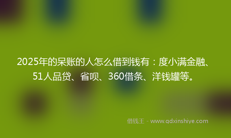 2025年的呆账的人怎么借到钱有：度小满金融、51人品贷、省呗、360借条、洋钱罐等。