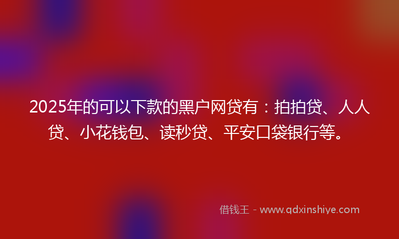 2025年的可以下款的黑户网贷有：拍拍贷、人人贷、小花钱包、读秒贷、平安口袋银行等。