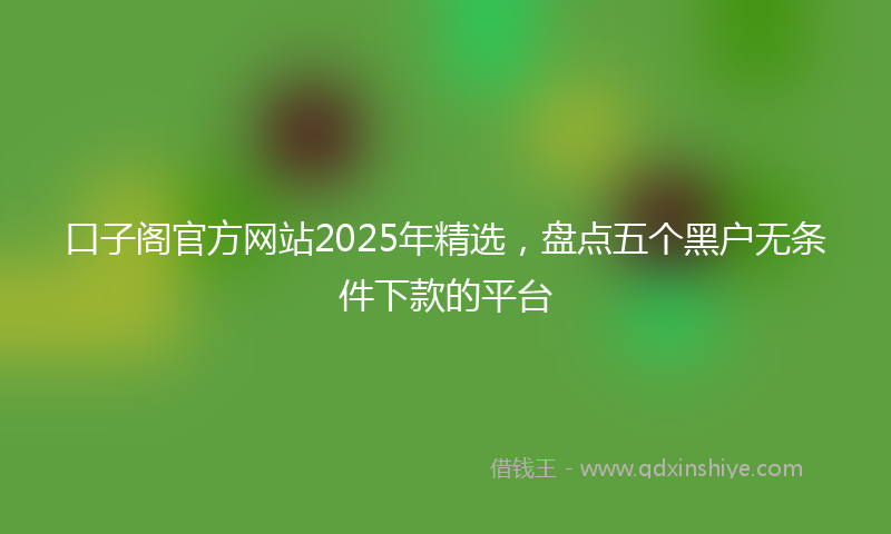 口子阁官方网站2025年精选，盘点五个黑户无条件下款的平台
