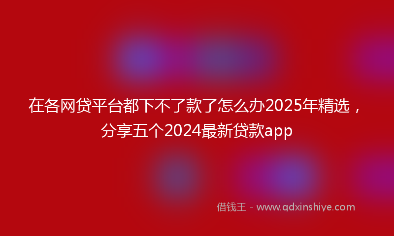 在各网贷平台都下不了款了怎么办2025年精选，分享五个2024最新贷款app