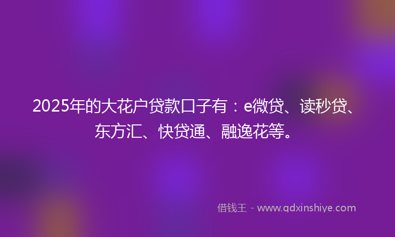 2025年的大花户贷款口子有：e微贷、读秒贷、东方汇、快贷通、融逸花等。