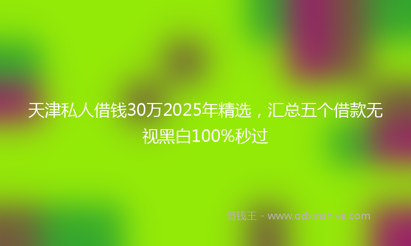 天津私人借钱30万2025年精选，汇总五个借款无视黑白100%秒过