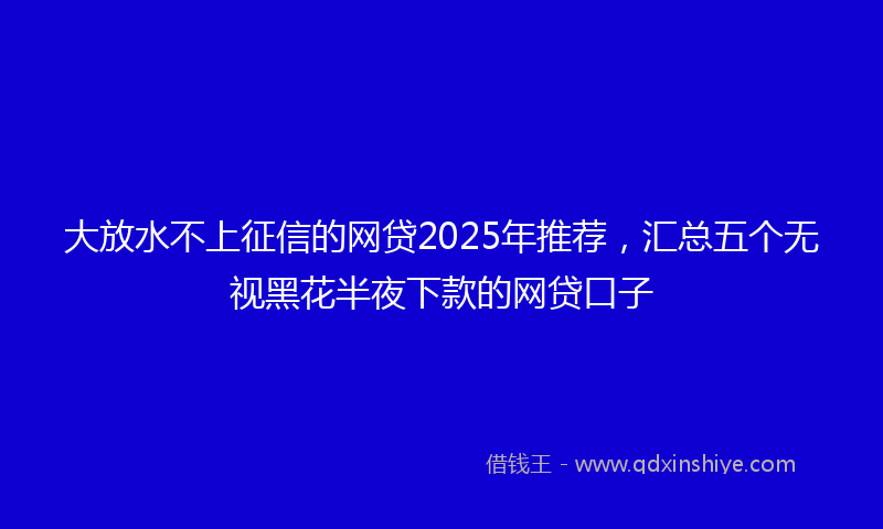 大放水不上征信的网贷2025年推荐，汇总五个无视黑花半夜下款的网贷口子