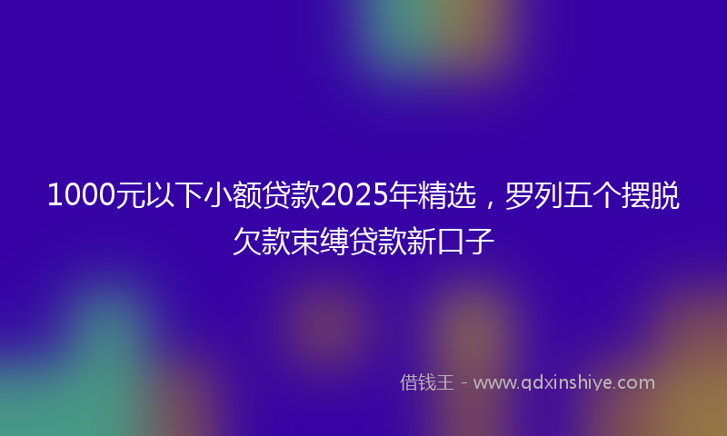 1000元以下小额贷款2025年精选，罗列五个摆脱欠款束缚贷款新口子