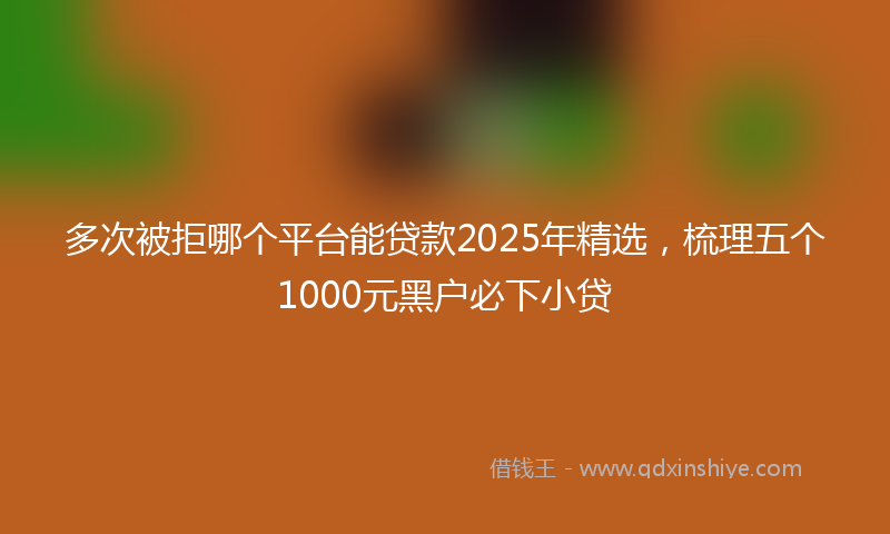多次被拒哪个平台能贷款2025年精选，梳理五个1000元黑户必下小贷