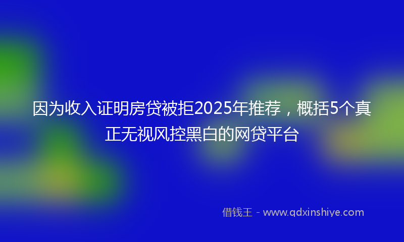 因为收入证明房贷被拒2025年推荐，概括5个真正无视风控黑白的网贷平台