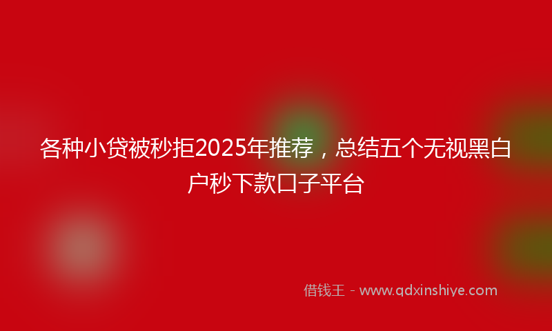各种小贷被秒拒2025年推荐，总结五个无视黑白户秒下款口子平台