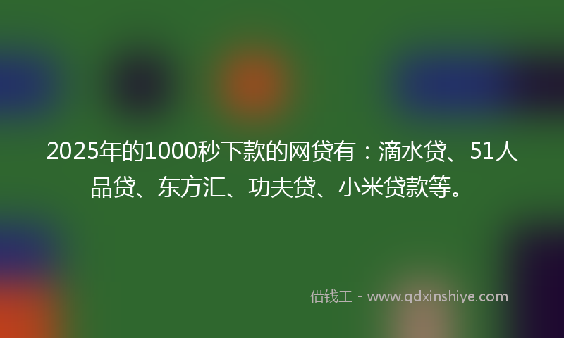 2025年的1000秒下款的网贷有：滴水贷、51人品贷、东方汇、功夫贷、小米贷款等。