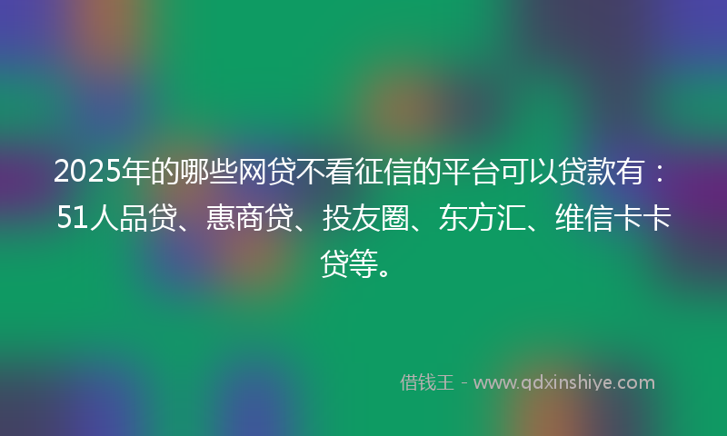 2025年的哪些网贷不看征信的平台可以贷款有：51人品贷、惠商贷、投友圈、东方汇、维信卡卡贷等。