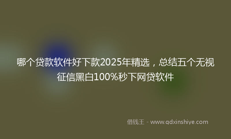 哪个贷款软件好下款2025年精选，总结五个无视征信黑白100%秒下网贷软件