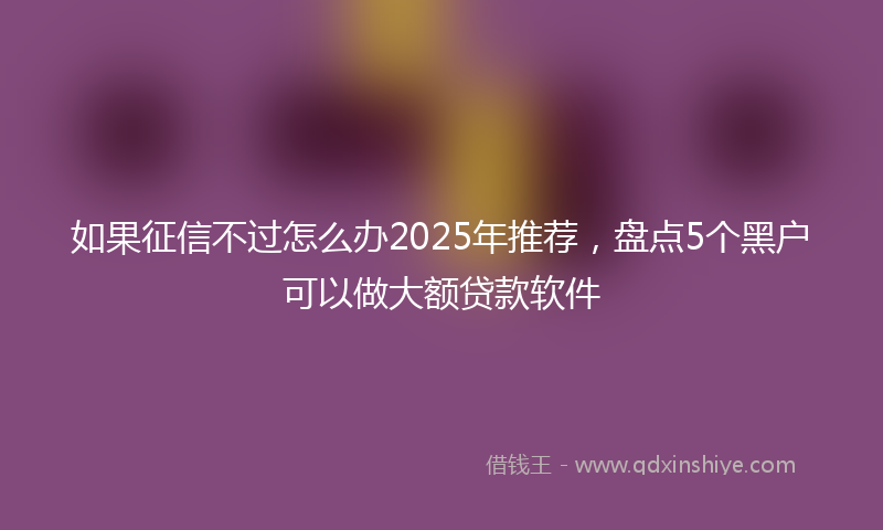 如果征信不过怎么办2025年推荐，盘点5个黑户可以做大额贷款软件