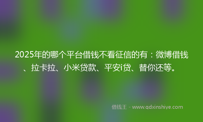 2025年的哪个平台借钱不看征信的有：微博借钱、拉卡拉、小米贷款、平安i贷、替你还等。
