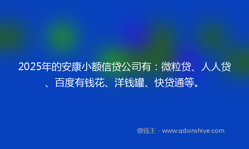 2025年的安康小额信贷公司有：微粒贷、人人贷、百度有钱花、洋钱罐、快贷通等。