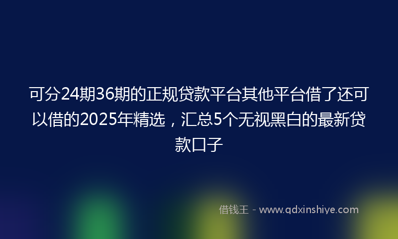 可分24期36期的正规贷款平台其他平台借了还可以借的2025年精选，汇总5个无视黑白的最新贷款口子