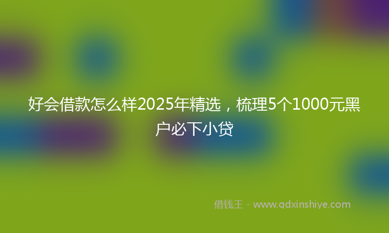 好会借款怎么样2025年精选，梳理5个1000元黑户必下小贷