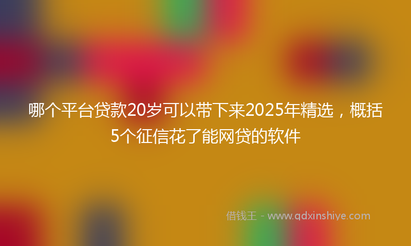 哪个平台贷款20岁可以带下来2025年精选，概括5个征信花了能网贷的软件