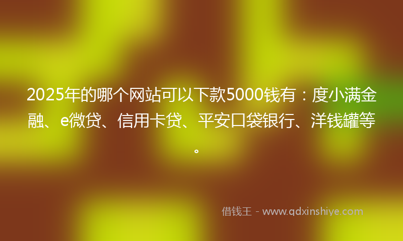 2025年的哪个网站可以下款5000钱有：度小满金融、e微贷、信用卡贷、平安口袋银行、洋钱罐等。