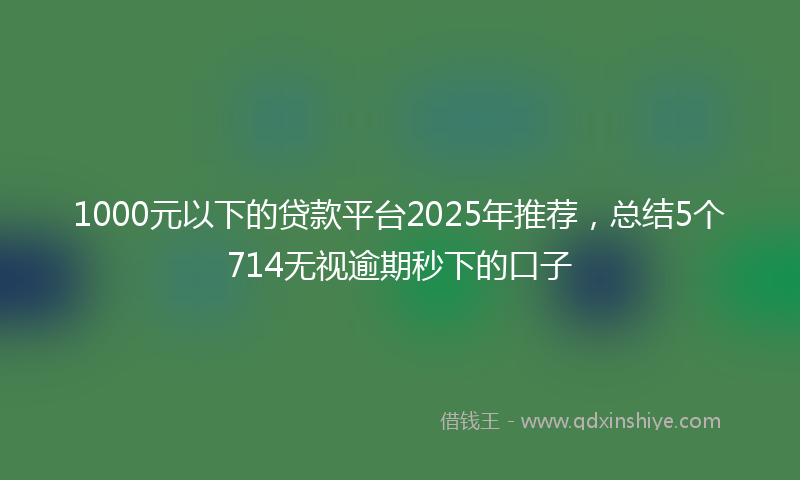 1000元以下的贷款平台2025年推荐，总结5个714无视逾期秒下的口子