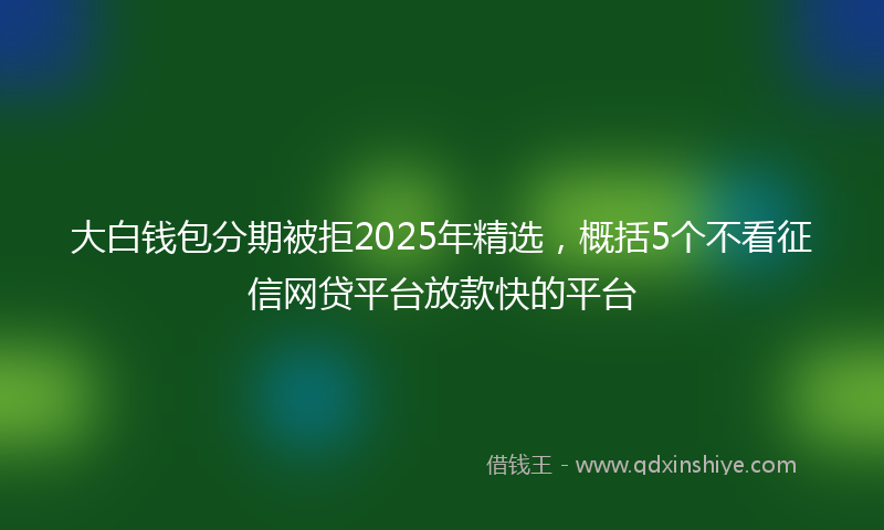大白钱包分期被拒2025年精选，概括5个不看征信网贷平台放款快的平台