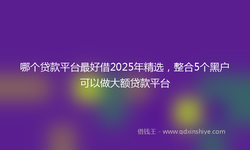 哪个贷款平台最好借2025年精选，整合5个黑户可以做大额贷款平台