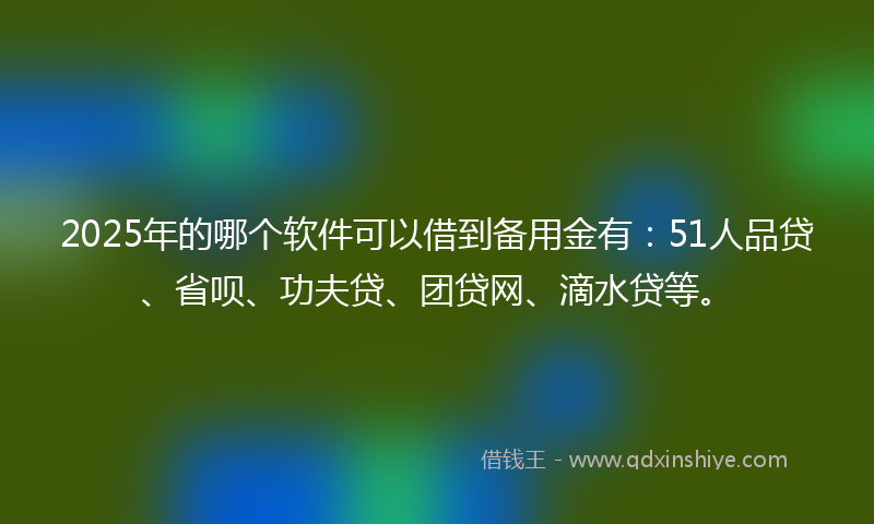 2025年的哪个软件可以借到备用金有：51人品贷、省呗、功夫贷、团贷网、滴水贷等。