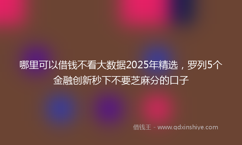 哪里可以借钱不看大数据2025年精选，罗列5个金融创新秒下不要芝麻分的口子