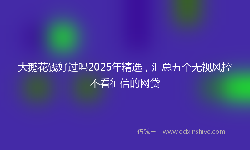 大鹅花钱好过吗2025年精选，汇总五个无视风控不看征信的网贷