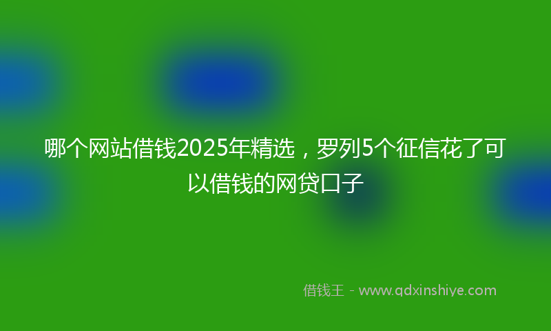 哪个网站借钱2025年精选，罗列5个征信花了可以借钱的网贷口子