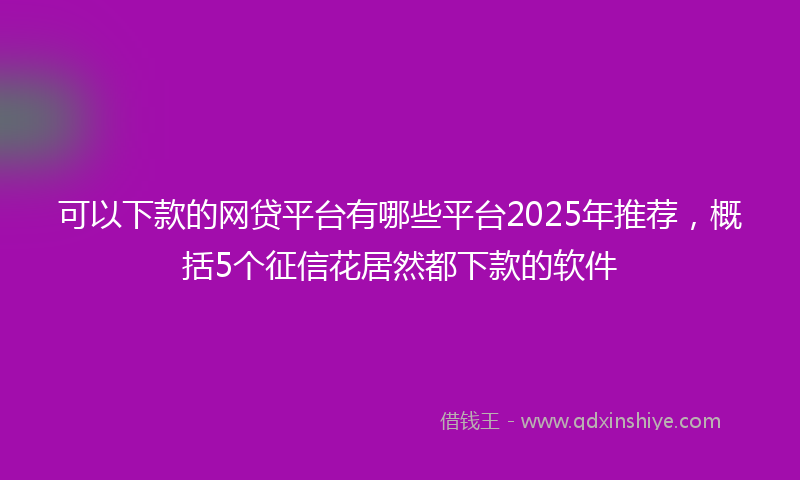 可以下款的网贷平台有哪些平台2025年推荐，概括5个征信花居然都下款的软件