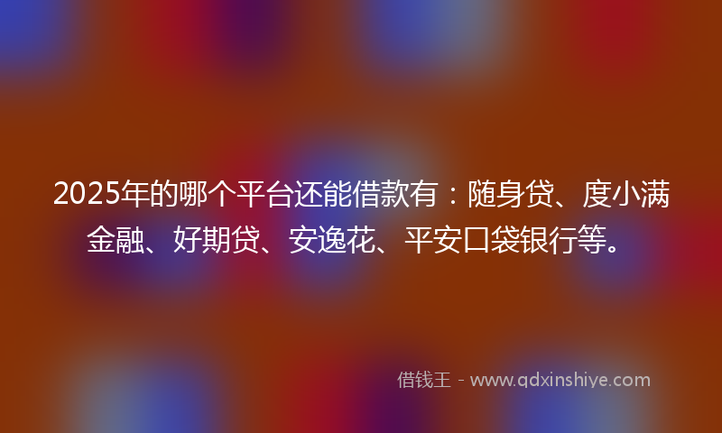 2025年的哪个平台还能借款有：随身贷、度小满金融、好期贷、安逸花、平安口袋银行等。