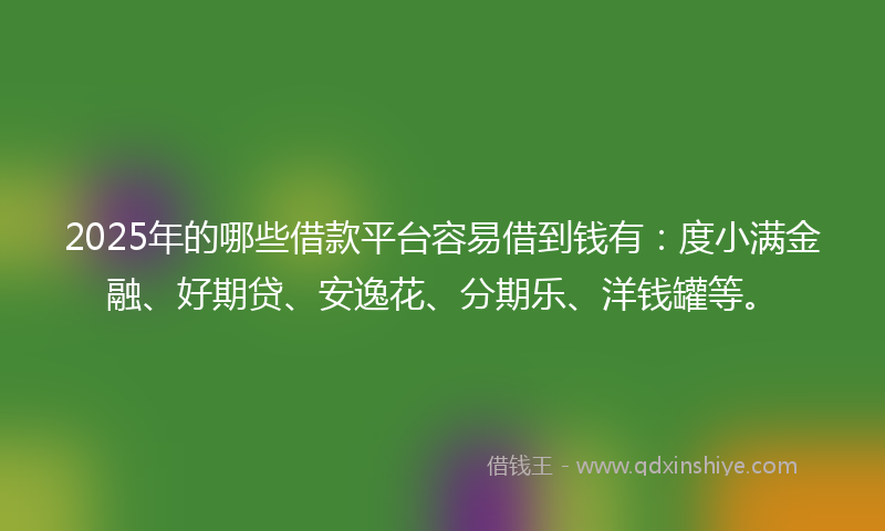 2025年的哪些借款平台容易借到钱有：度小满金融、好期贷、安逸花、分期乐、洋钱罐等。