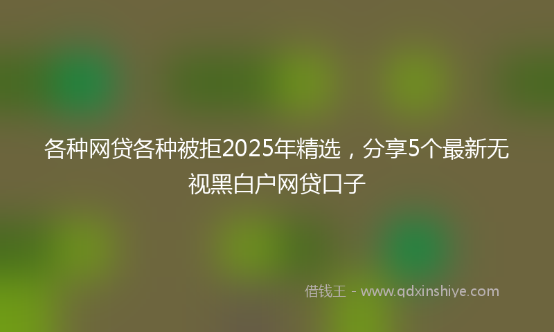 各种网贷各种被拒2025年精选，分享5个最新无视黑白户网贷口子