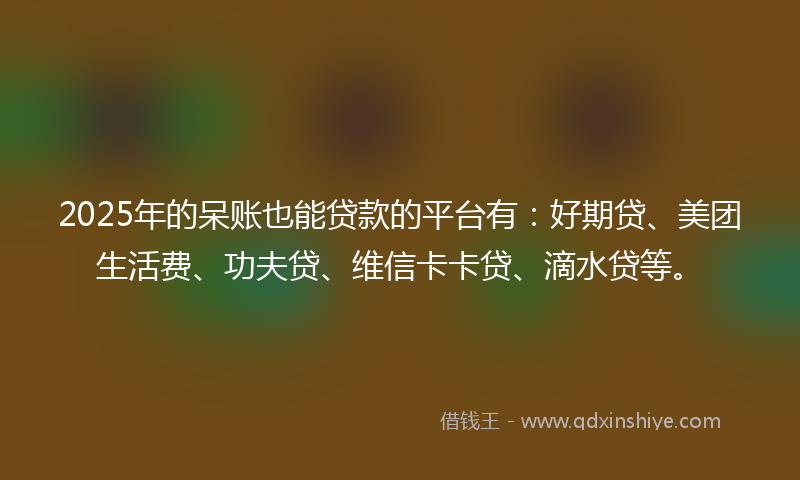 2025年的呆账也能贷款的平台有：好期贷、美团生活费、功夫贷、维信卡卡贷、滴水贷等。