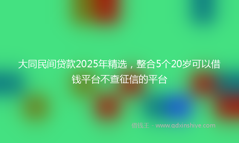 大同民间贷款2025年精选，整合5个20岁可以借钱平台不查征信的平台