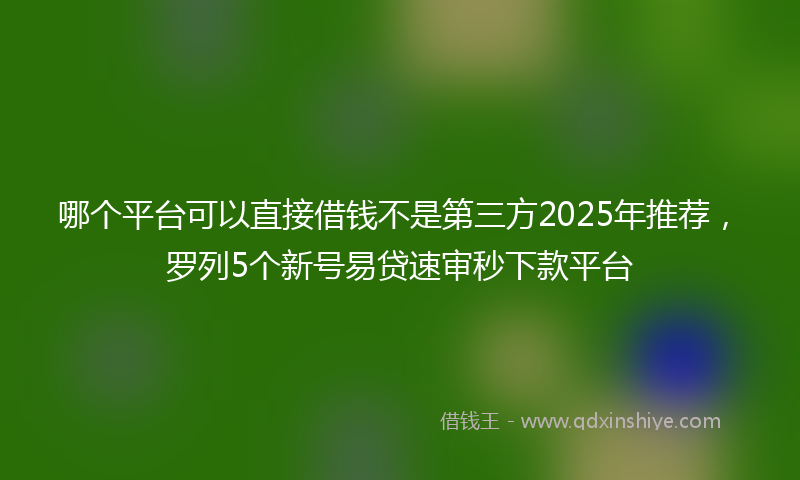 哪个平台可以直接借钱不是第三方2025年推荐，罗列5个新号易贷速审秒下款平台