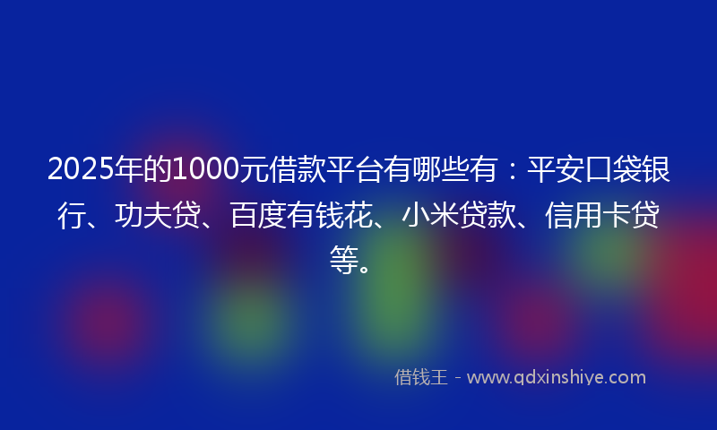 2025年的1000元借款平台有哪些有：平安口袋银行、功夫贷、百度有钱花、小米贷款、信用卡贷等。