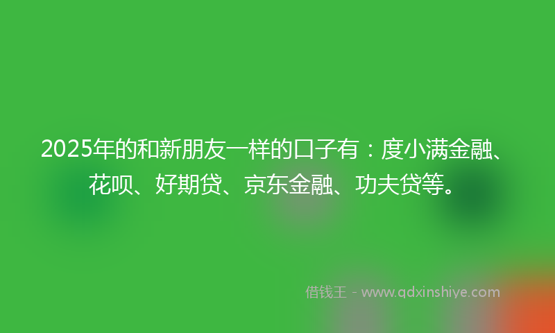 2025年的和新朋友一样的口子有：度小满金融、花呗、好期贷、京东金融、功夫贷等。