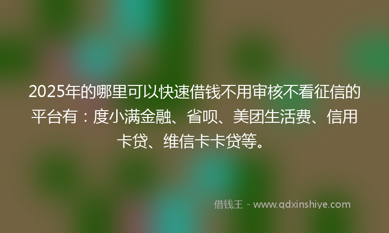 2025年的哪里可以快速借钱不用审核不看征信的平台有：度小满金融、省呗、美团生活费、信用卡贷、维信卡卡贷等。