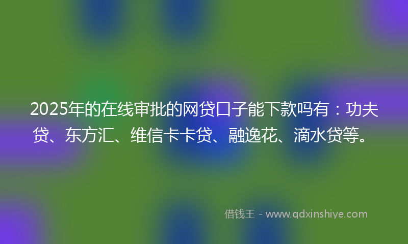 2025年的在线审批的网贷口子能下款吗有：功夫贷、东方汇、维信卡卡贷、融逸花、滴水贷等。