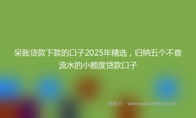 呆账贷款下款的口子2025年精选，归纳五个不查流水的小额度贷款口子
