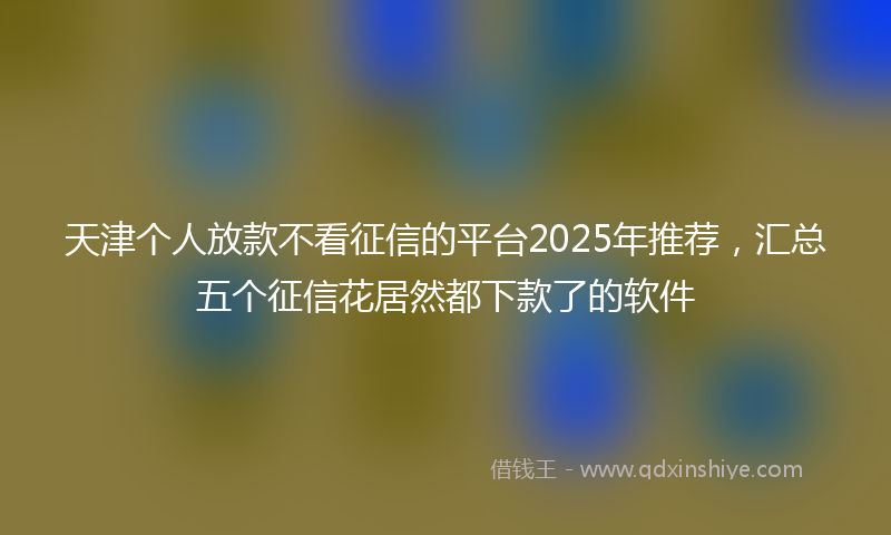天津个人放款不看征信的平台2025年推荐，汇总五个征信花居然都下款了的软件