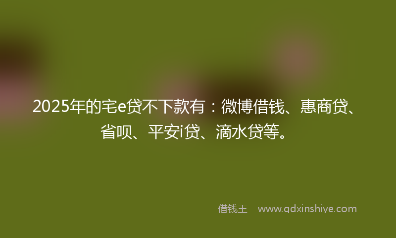 2025年的宅e贷不下款有：微博借钱、惠商贷、省呗、平安i贷、滴水贷等。