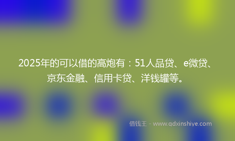 2025年的可以借的高炮有：51人品贷、e微贷、京东金融、信用卡贷、洋钱罐等。