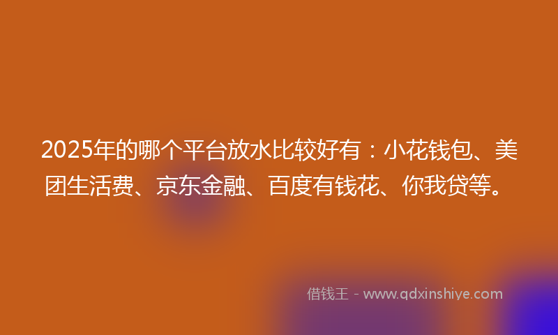 2025年的哪个平台放水比较好有：小花钱包、美团生活费、京东金融、百度有钱花、你我贷等。