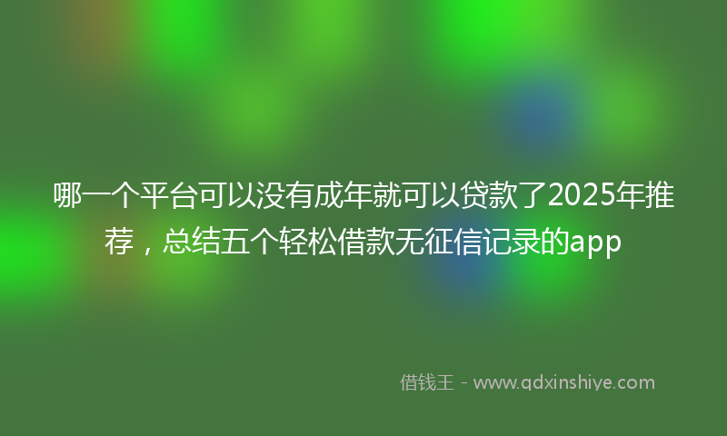 哪一个平台可以没有成年就可以贷款了2025年推荐，总结五个轻松借款无征信记录的app