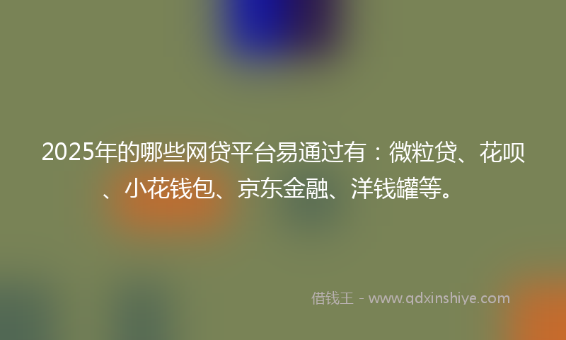 2025年的哪些网贷平台易通过有：微粒贷、花呗、小花钱包、京东金融、洋钱罐等。