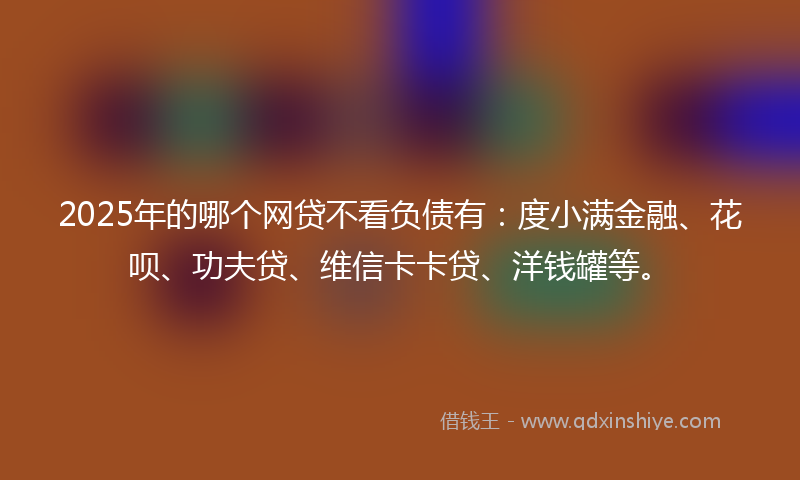 2025年的哪个网贷不看负债有：度小满金融、花呗、功夫贷、维信卡卡贷、洋钱罐等。