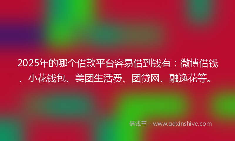 2025年的哪个借款平台容易借到钱有：微博借钱、小花钱包、美团生活费、团贷网、融逸花等。